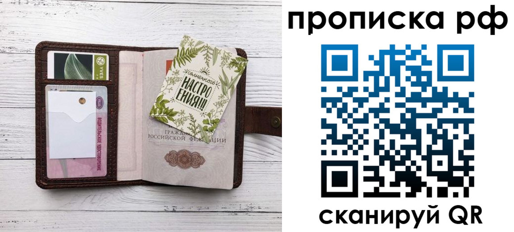 прописка в Вологде